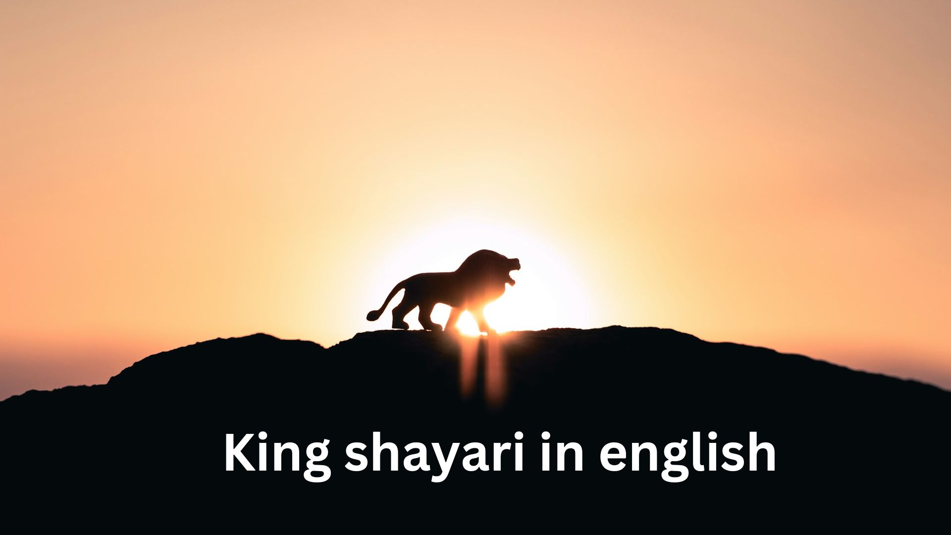 King shayari